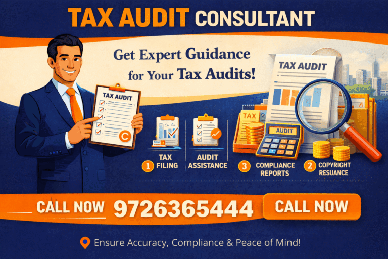 Tax Audit Consultant